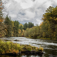 Buy canvas prints of Fall on the McKenzie River by Belinda Greb