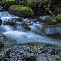 Buy canvas prints of Water, Moss and Rocks by Belinda Greb