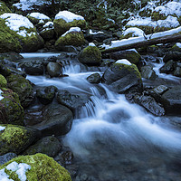 Buy canvas prints of Snow, Moss, Water Over Rocks by Belinda Greb