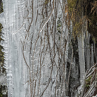Buy canvas prints of Icicles, No. 5 by Belinda Greb