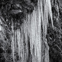 Buy canvas prints of Icicles, No. 2 bw by Belinda Greb