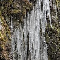 Buy canvas prints of Icicles, No. 5 by Belinda Greb
