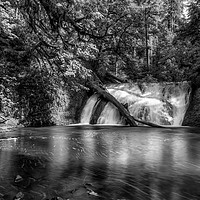 Buy canvas prints of Lower North Falls bw by Belinda Greb