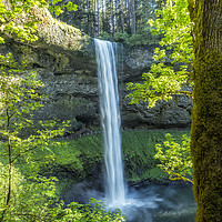 Buy canvas prints of South Falls During Spring by Belinda Greb