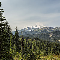 Buy canvas prints of Mt Rainier from Naches Peak Loop by Belinda Greb