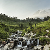 Buy canvas prints of Early Evening Light on Mt Rainier and Edith Creek by Belinda Greb