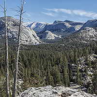Buy canvas prints of The North View Towards Tenaya Lake from Olmsted Pt by Belinda Greb