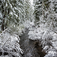 Buy canvas prints of A Winter's View of Salt Creek by Belinda Greb