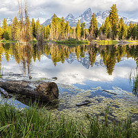 Buy canvas prints of Another View of the Tetons from the Schwabacher La by Belinda Greb