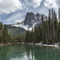 Buy canvas prints of Looking South Towards Mt Burgess from Emerald Lake by Belinda Greb
