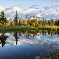 Buy canvas prints of Grand Tetons and Trees Reflected in Snake River at Schwabacher's Landing by Belinda Greb