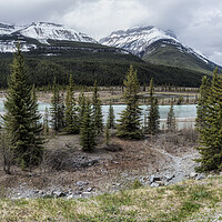 Buy canvas prints of Along the Icefields Parkway by Belinda Greb