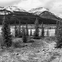 Buy canvas prints of Along the Icefields Parkway bw by Belinda Greb