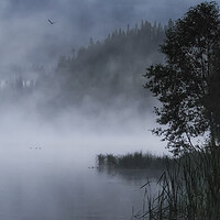 Buy canvas prints of Mist and Silhouettes on the Lake by Belinda Greb