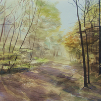 Buy canvas prints of Ashridge Woods by Martin Howard