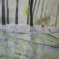 Buy canvas prints of Hot Spring Bluebell Jogger by Martin Howard