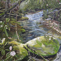 Buy canvas prints of  Beyond the Rock - Mountaintown Creek - Ellijay, G by Jan Dappen