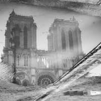 Buy canvas prints of Notre Dame Reflection by Richard Cruttwell