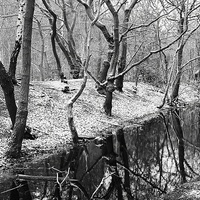 Buy canvas prints of Joydens Wood in Winter by Richard Cruttwell