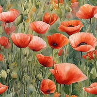 Buy canvas prints of Poppies in a field by Scott Anderson