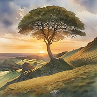 Buy canvas prints of Sycamore Tree in Watercolour by Scott Anderson