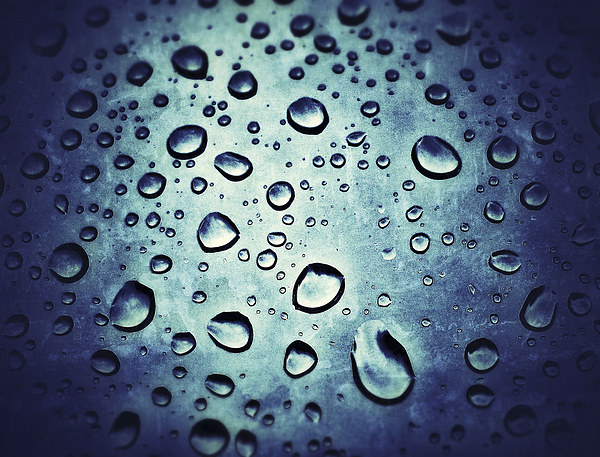 Rain Drops Picture Board by Scott Anderson