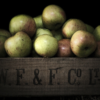 Buy canvas prints of Apple Crate by Scott Anderson
