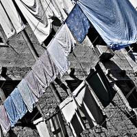 Buy canvas prints of Blue Laundry by Scott Anderson