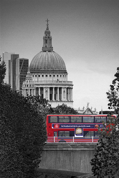 Bus and St Pauls Cathedral Picture Board by Scott Anderson