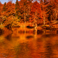 Buy canvas prints of Autumnal Colours by Scott Anderson