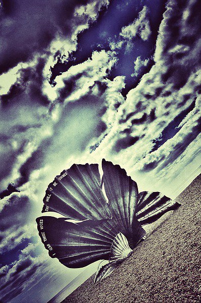 Aldeburgh Shell Picture Board by Scott Anderson