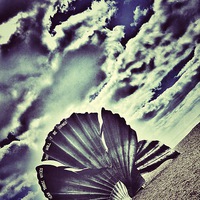 Buy canvas prints of Aldeburgh Shell by Scott Anderson
