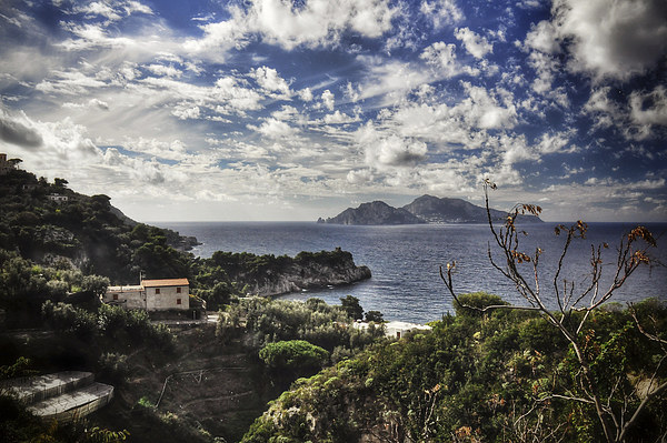 View of Capri Picture Board by Scott Anderson