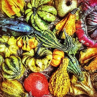 Buy canvas prints of Gourds and pumpkins by Scott Anderson