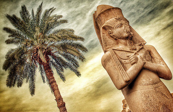 Statue in Egypt Picture Board by Scott Anderson