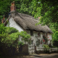 Buy canvas prints of Dorset Cottage by Scott Anderson