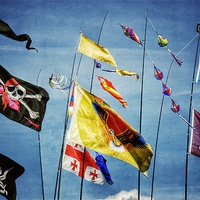 Buy canvas prints of Flags by Scott Anderson
