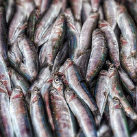 Buy canvas prints of Fish by Scott Anderson