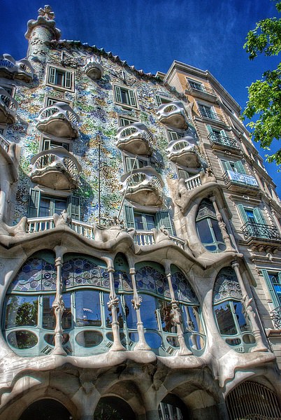 Casa Batllo, Gaudi, Barcelona Picture Board by Scott Anderson