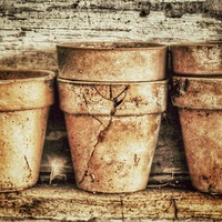 Buy canvas prints of Three Flower Pots by Scott Anderson