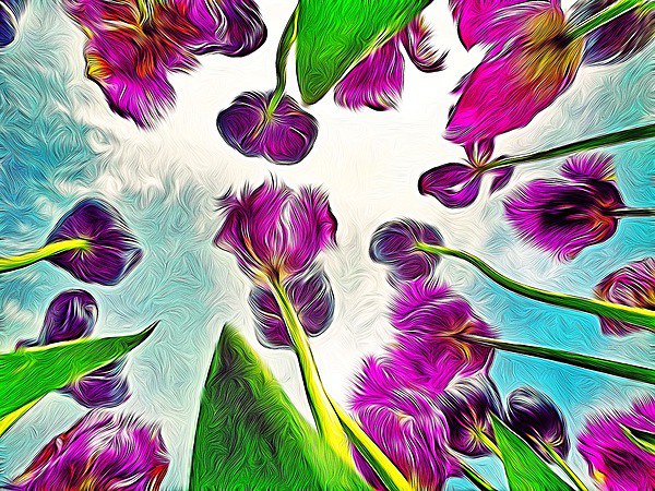 Feathered Tulips Picture Board by Scott Anderson