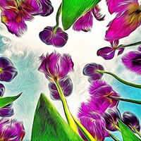 Buy canvas prints of Feathered Tulips by Scott Anderson