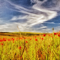 Buy canvas prints of Painted Poppy Field by Scott Anderson