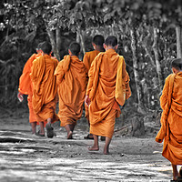 Buy canvas prints of Buddhist Monks by Scott Anderson