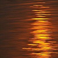 Buy canvas prints of Sun Reflection by Scott Anderson