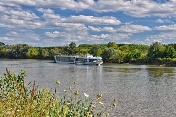A river cruise boat in France Picture Board by Scott Anderson
