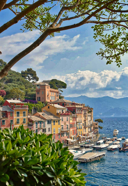 Portofino, Italy Picture Board by Scott Anderson