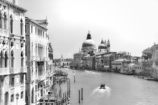 Grand Canal, Venice, Italy  Picture Board by Scott Anderson