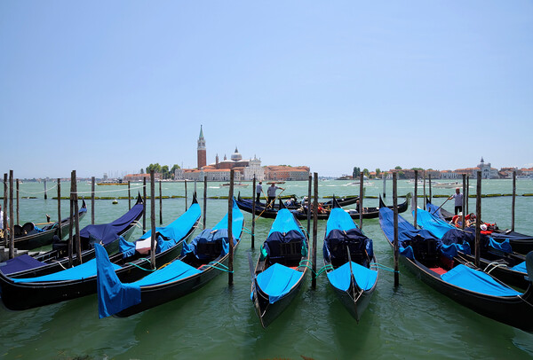 Venice Lagoon Picture Board by Scott Anderson