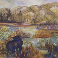 Buy canvas prints of Bear in the Slough by ellen levinson